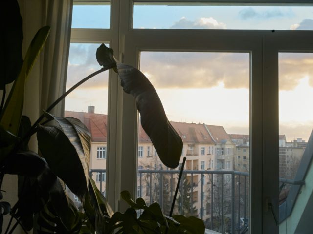 L&rsquo;appartement – Partie 1
