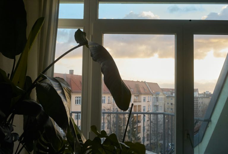 L&rsquo;appartement – Partie 1